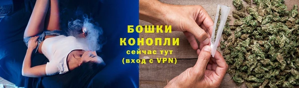 гашик Богданович