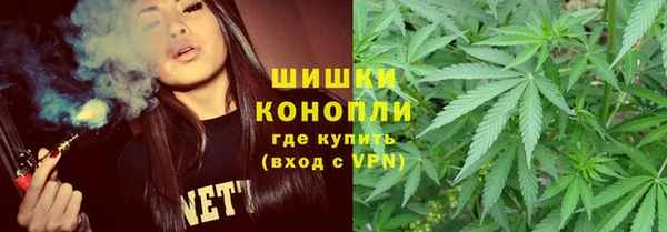 гашик Богданович