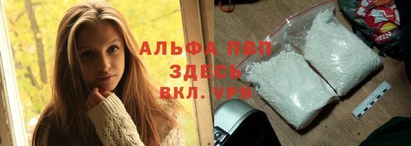 сатива Баксан